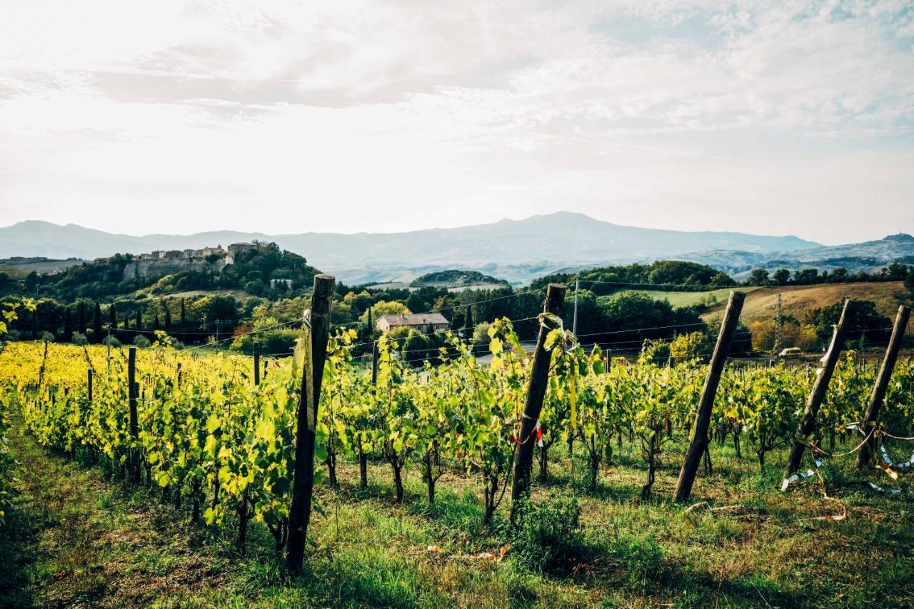 Podere Orto Wine Country House Trevinano Exteriér fotografie