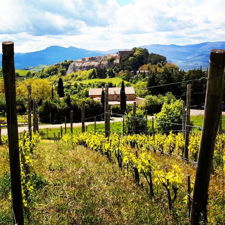Podere Orto Wine Country House Trevinano Exteriér fotografie